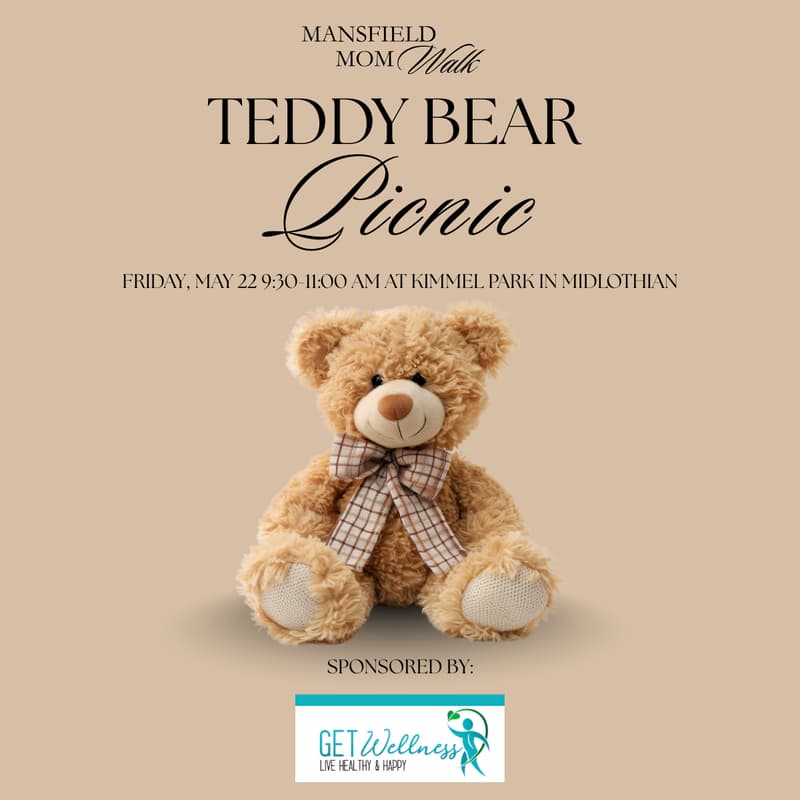 Cover Image for Teddy Bear Picnic