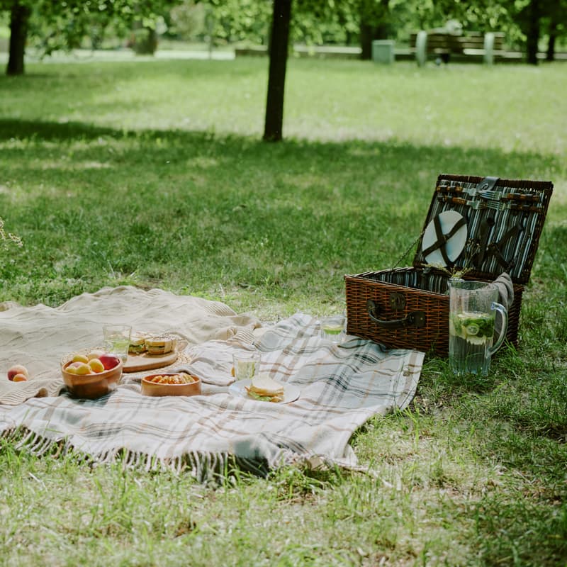 Cover Image for Community Exclusive Hangout | Kick-Off Picnic 🧺