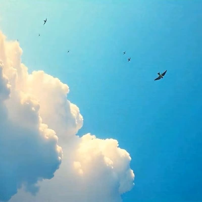 Cover Image for 2RCon Online 2025 - Integration & Continuation Call