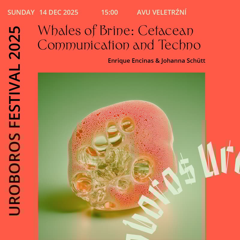 Cover Image for Whales of Brine: Cetacean Communication and Techno (workshop by Enrique Encinas & Johanna Schütt)