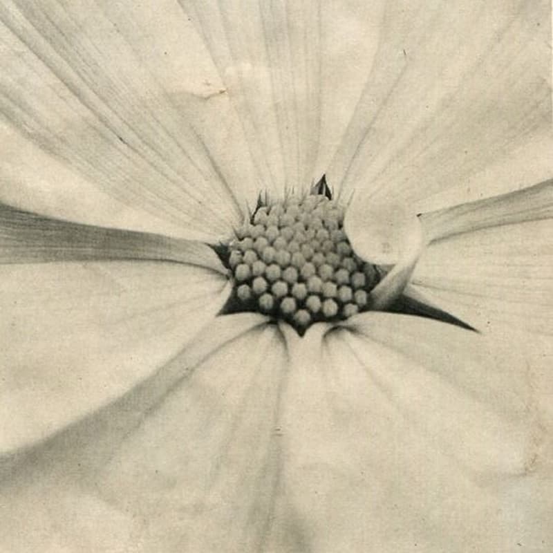 Cover Image for Embodiment Studio: Nourish