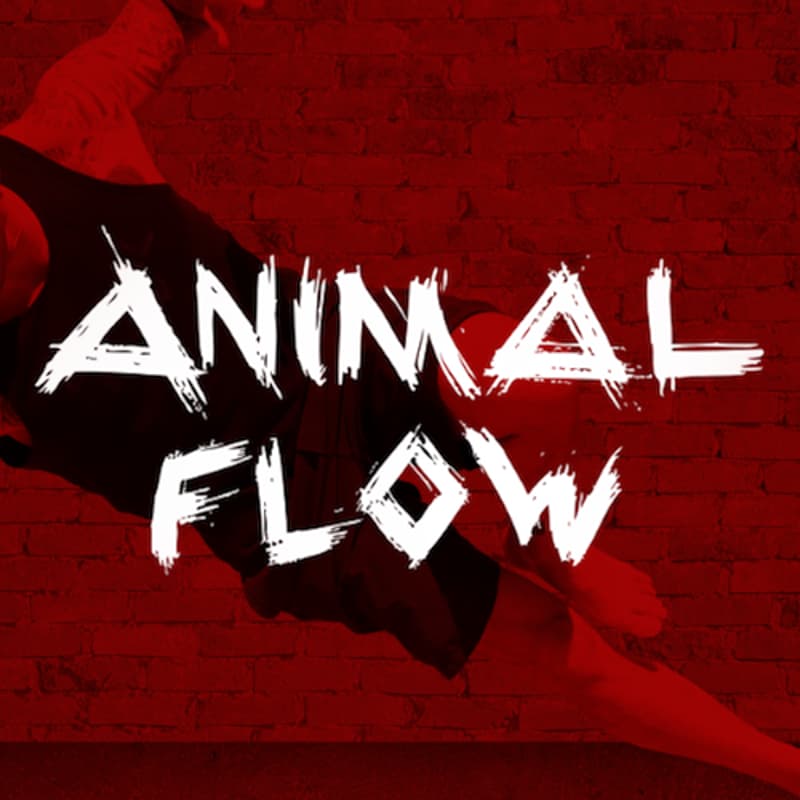 Cover Image for ANIMAL FLOW: Movement Lab