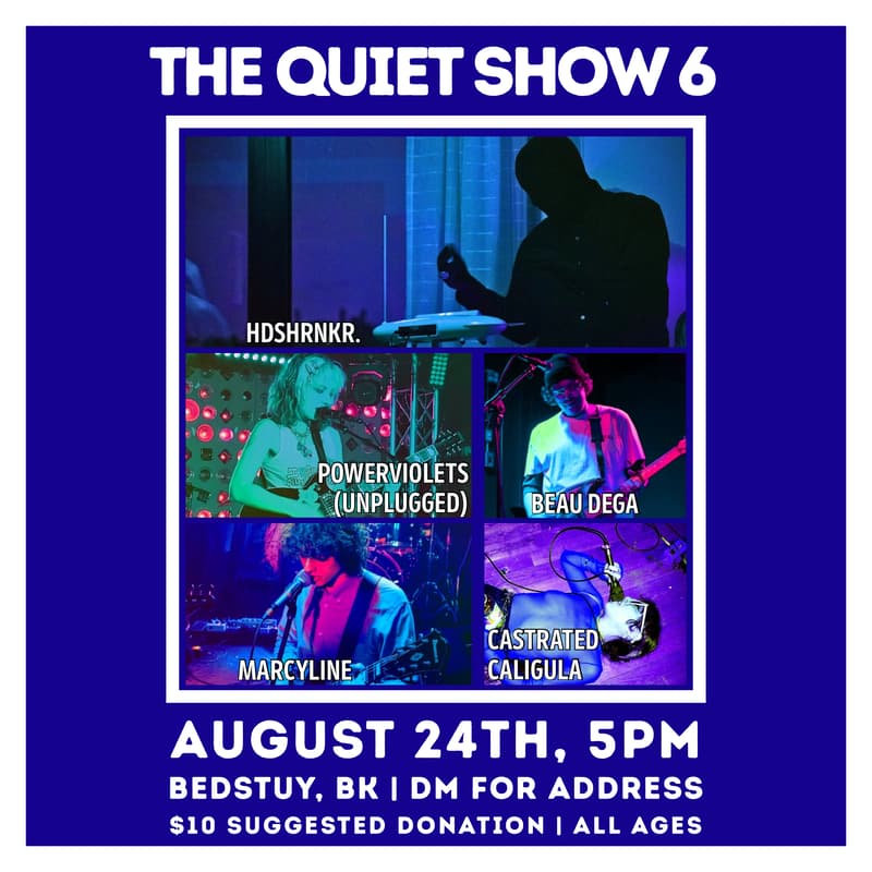 Cover Image for THE QUIET SHOW 6