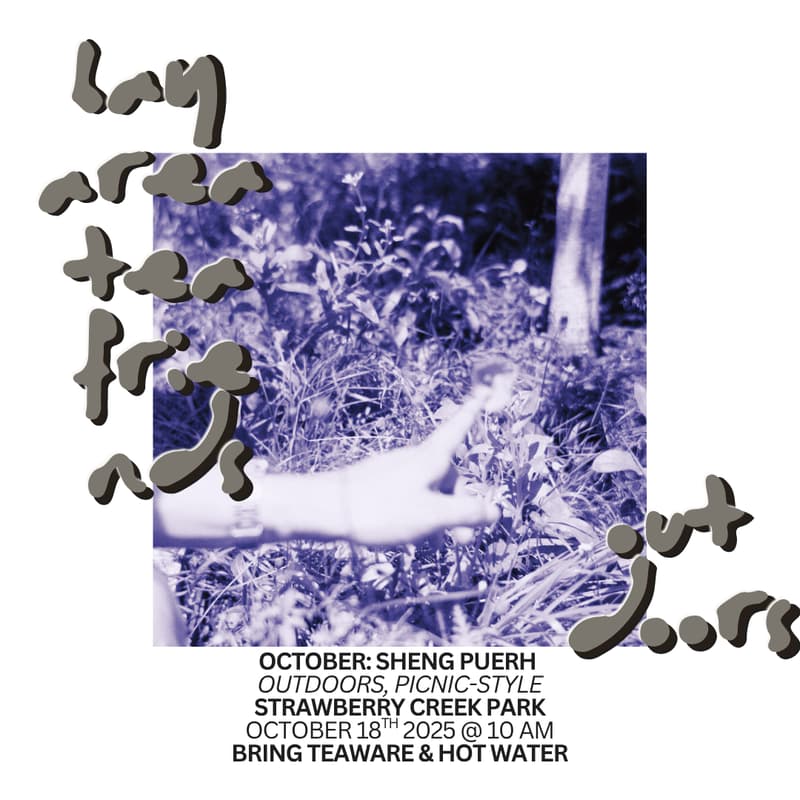 Cover Image for bay area tea friends, outdoors: sheng pu'er