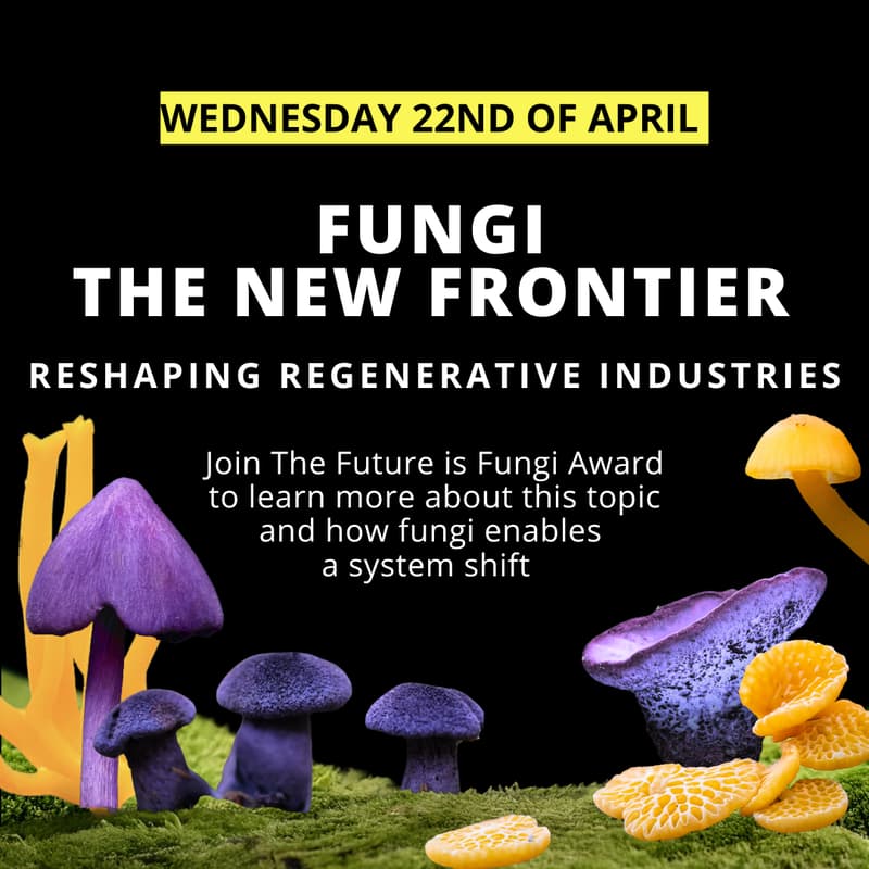 Cover Image for Fungi: The New Frontier Reshaping Regenerative Industries