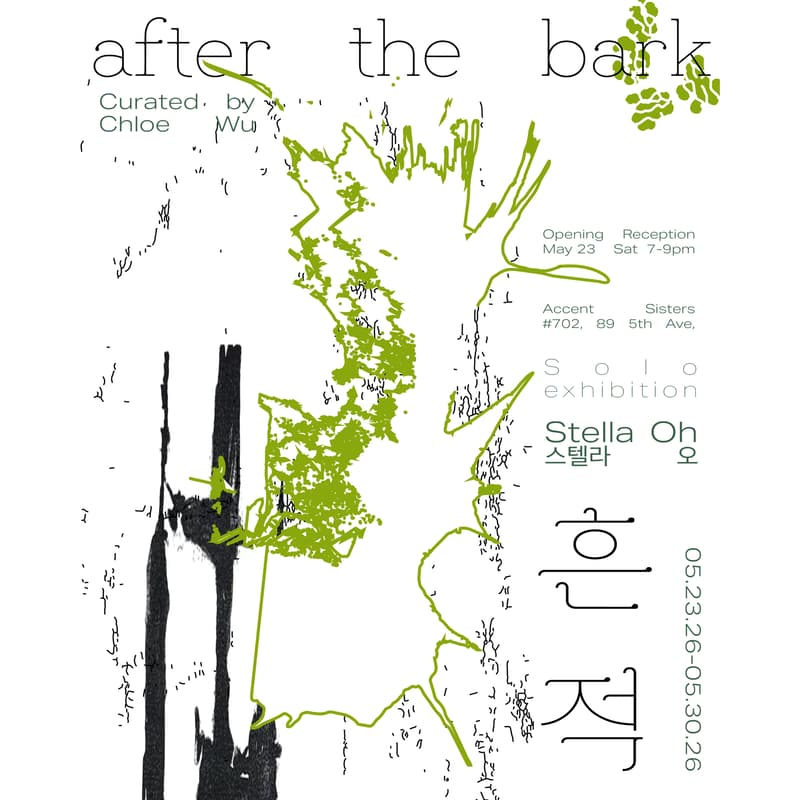 Cover Image for 흔적 After the Bark | Stella Oh Solo Exhibition Opening