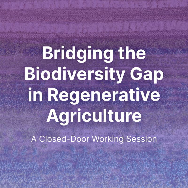 Cover Image for Bridging the Biodiversity Gap in Regenerative Agriculture: A Closed-Door Working Session