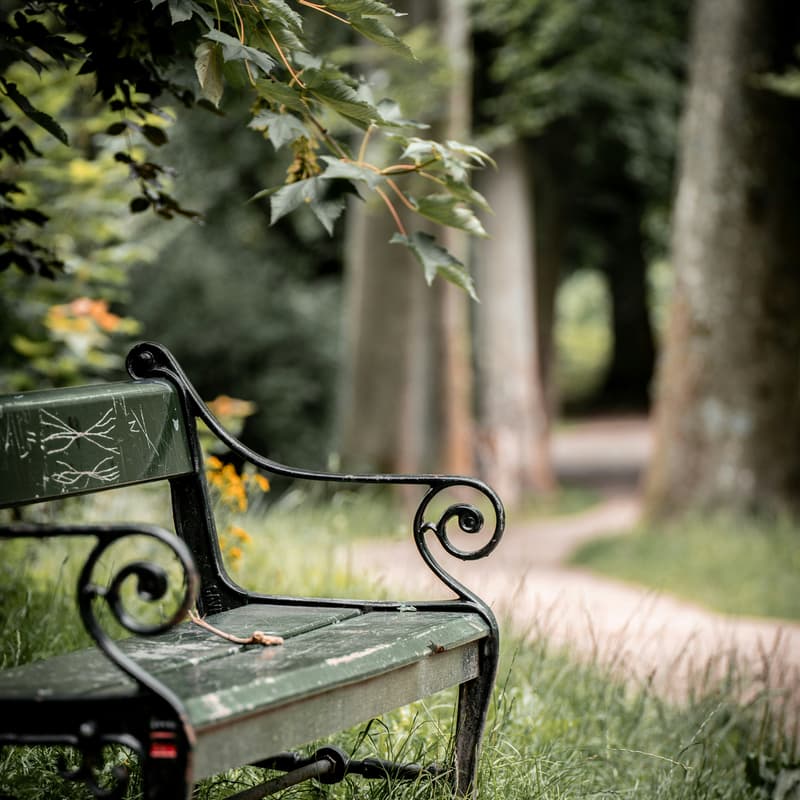 Cover Image for Divine Dialogue - Berkeley, CA