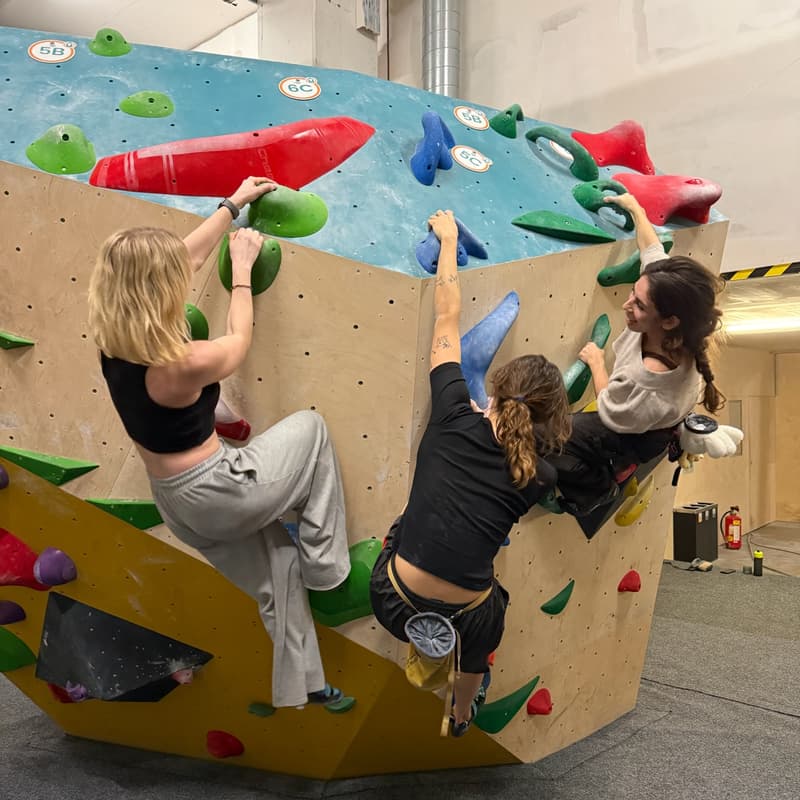 Cover Image for Social Bouldering - Flinta & Friends