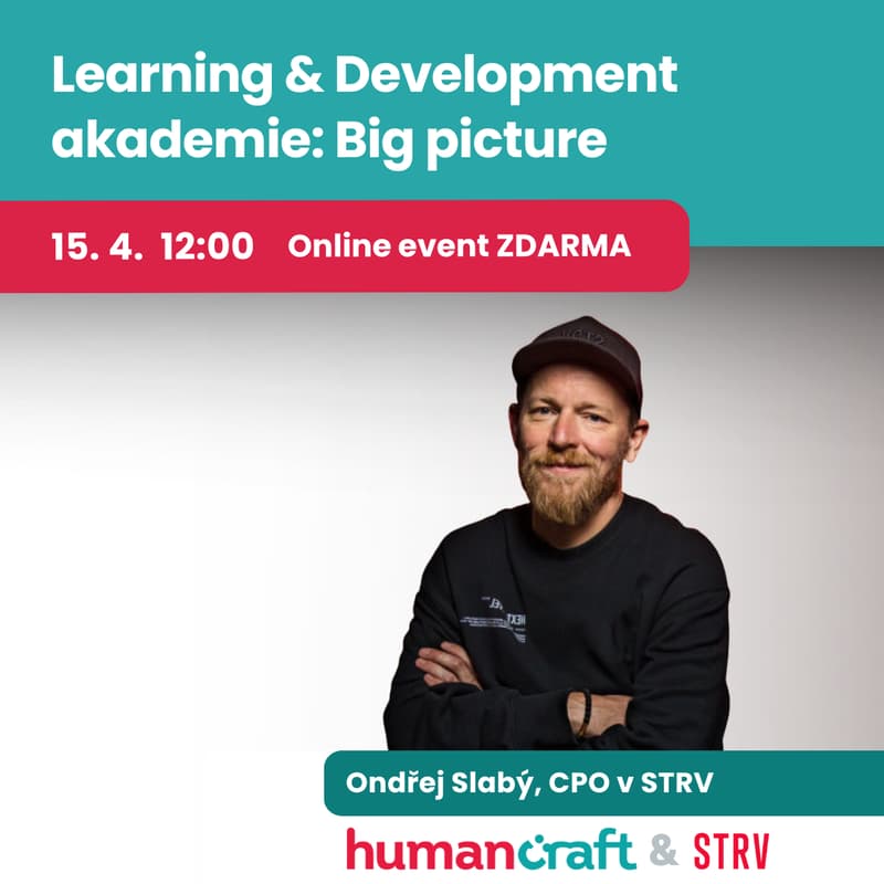 Cover Image for Learning & Development akademie: Big picture