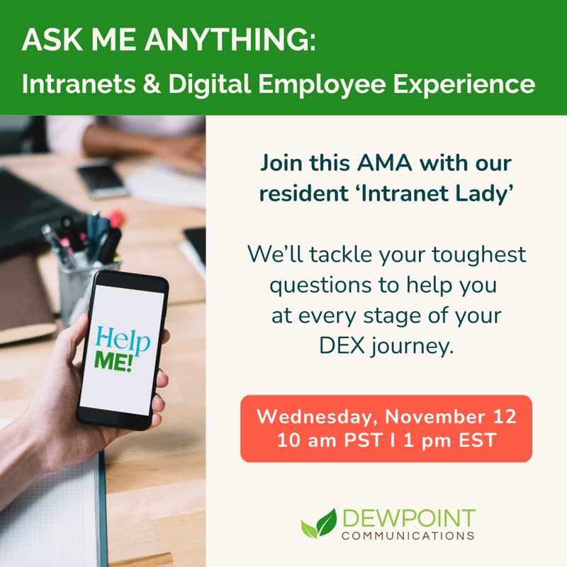 Cover Image for Help Me, Intranet Lady!