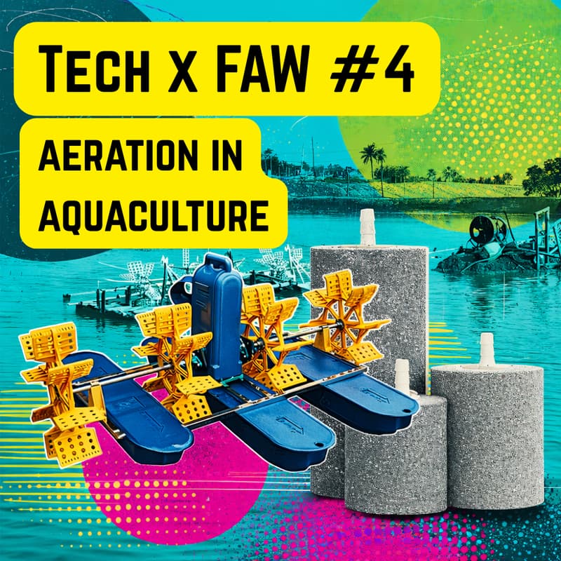 Cover Image for Tech x FAW #4: Aeration in aquaculture