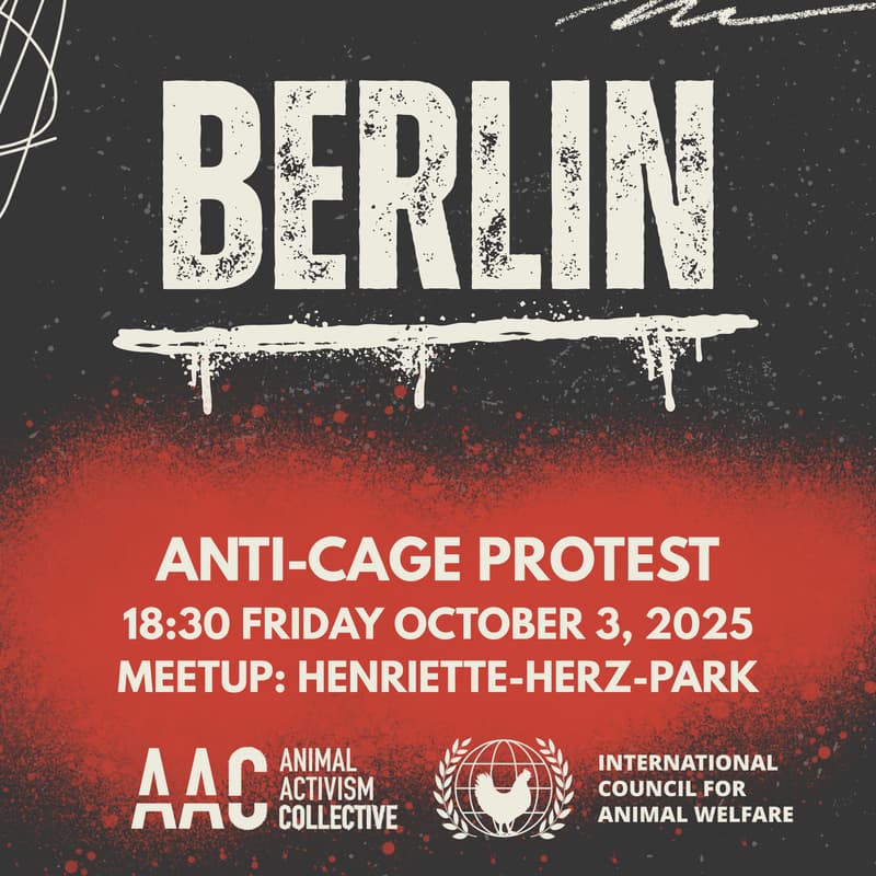 Cover Image for Berlin: Anti-cage protest