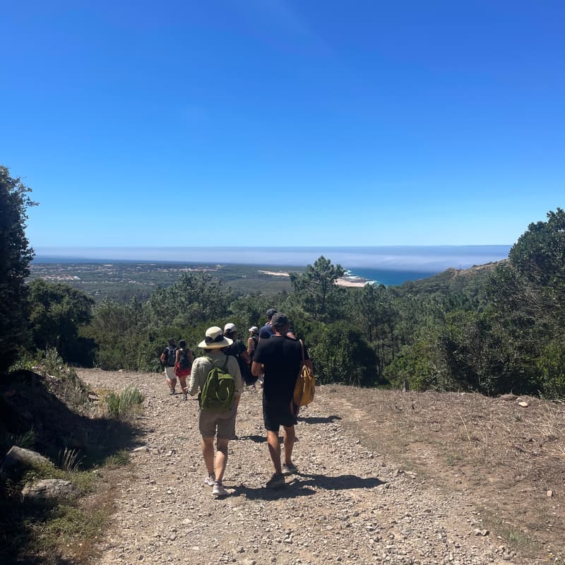 Cover Image for Web Summit Warm-up Hike & Lunch