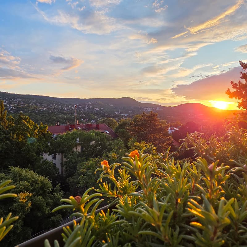 Cover Image for Home Exchange, a nagy kaland - Utazás, élmény, kapcsolódás egy este alatt, Várunk Téged is!