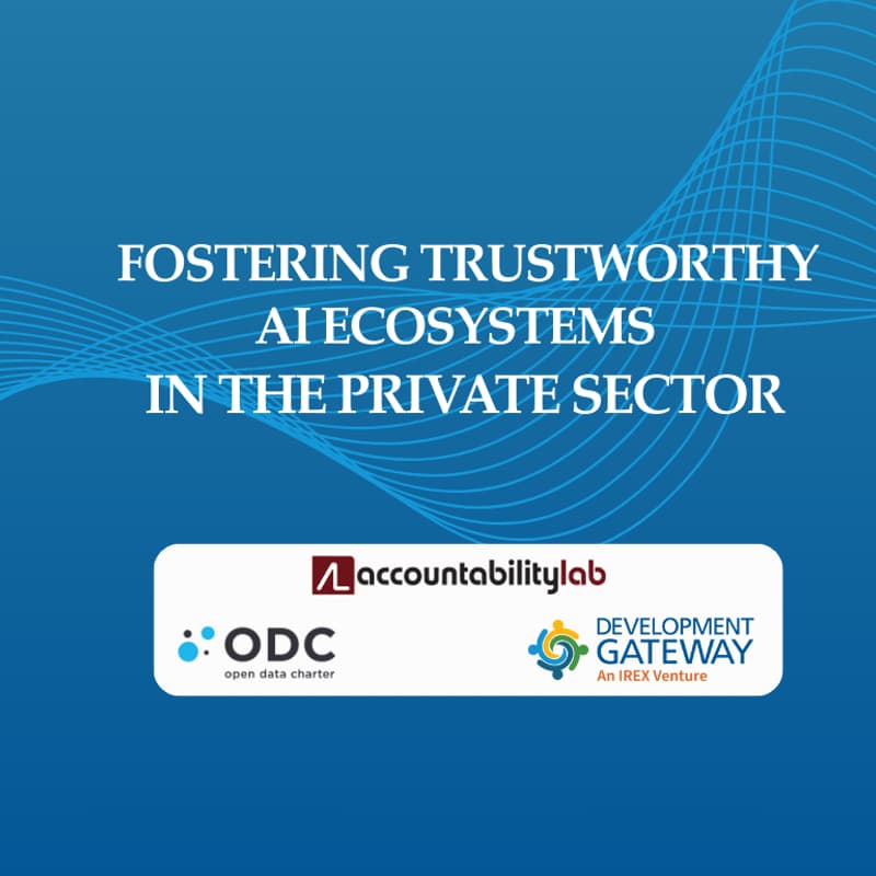 Cover Image for Fostering trustworthy AI Ecosystems in the Private Sector