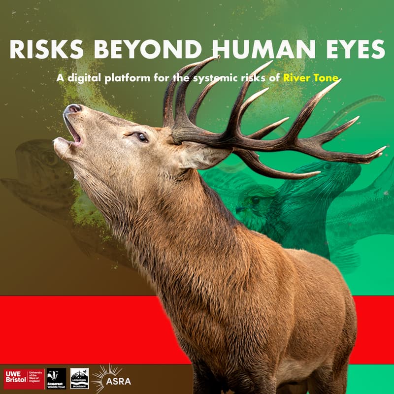 Cover Image for River Tone Risks Beyond Human Eyes: Final Event