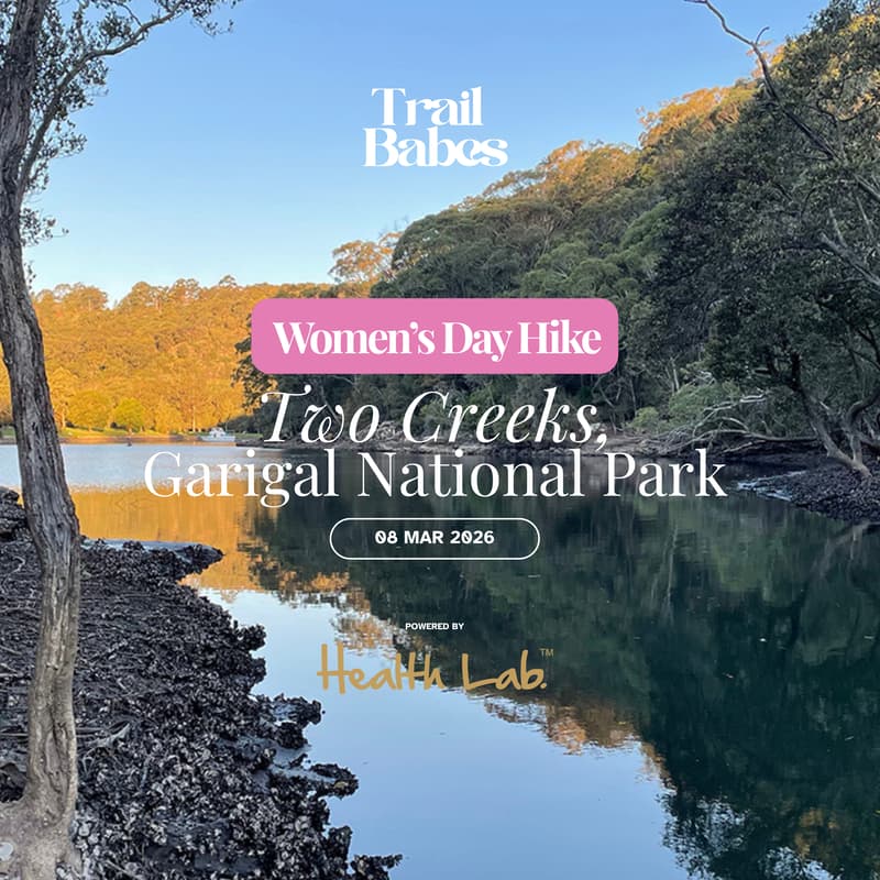 Cover Image for Two Creeks Track, Garigal National Park | International Women's Day Hike