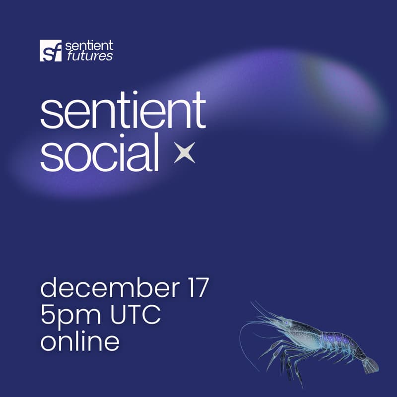 Cover Image for Sentient Social
