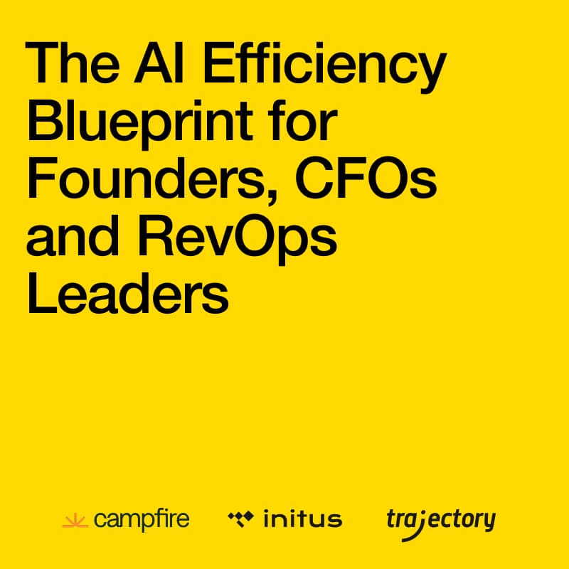 Cover Image for The AI Efficiency Blueprint: Practical Execution Strategies for CRM, ERP Technology Ecosystem Transformation