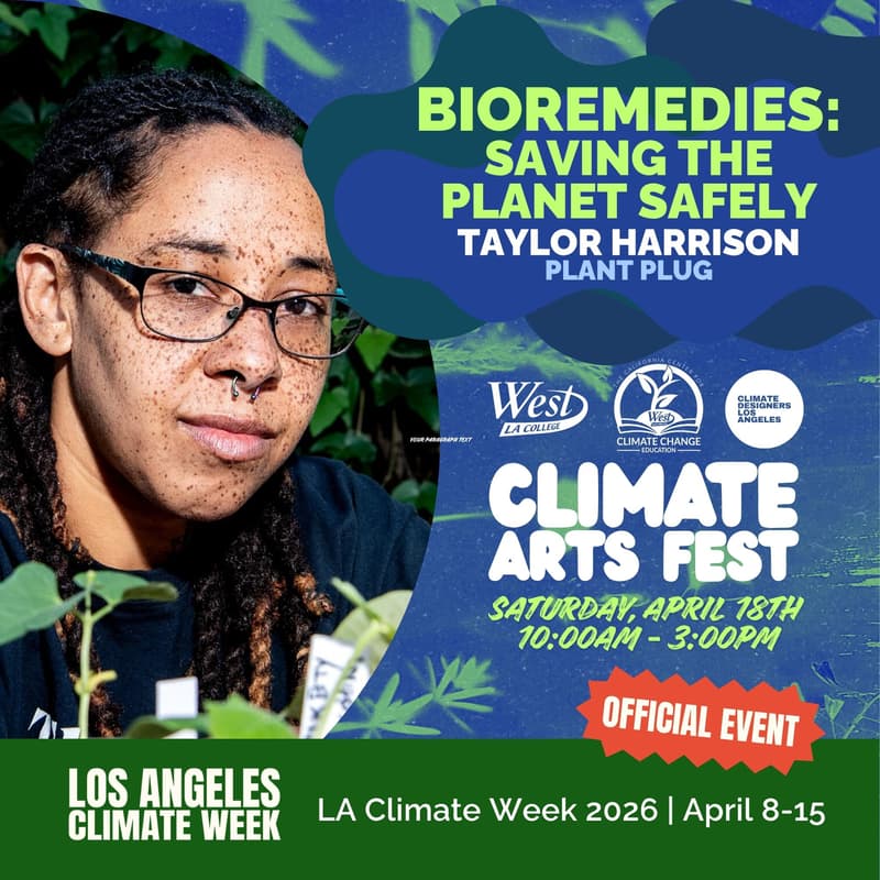 Cover Image for BioREMEDIES: Saving the Planet Safely