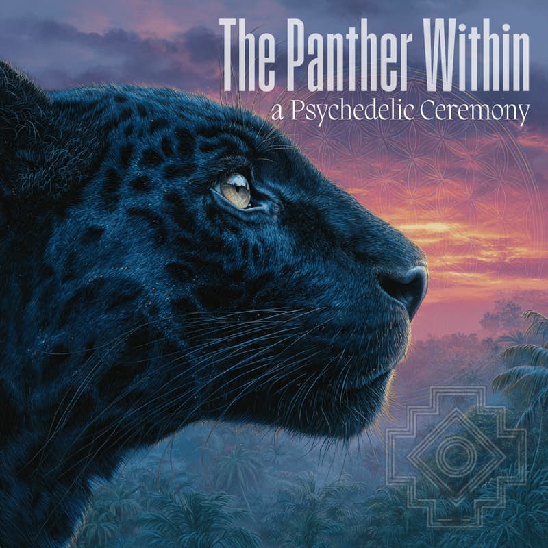 Cover Image for The Panther Within Ceremony in Florida