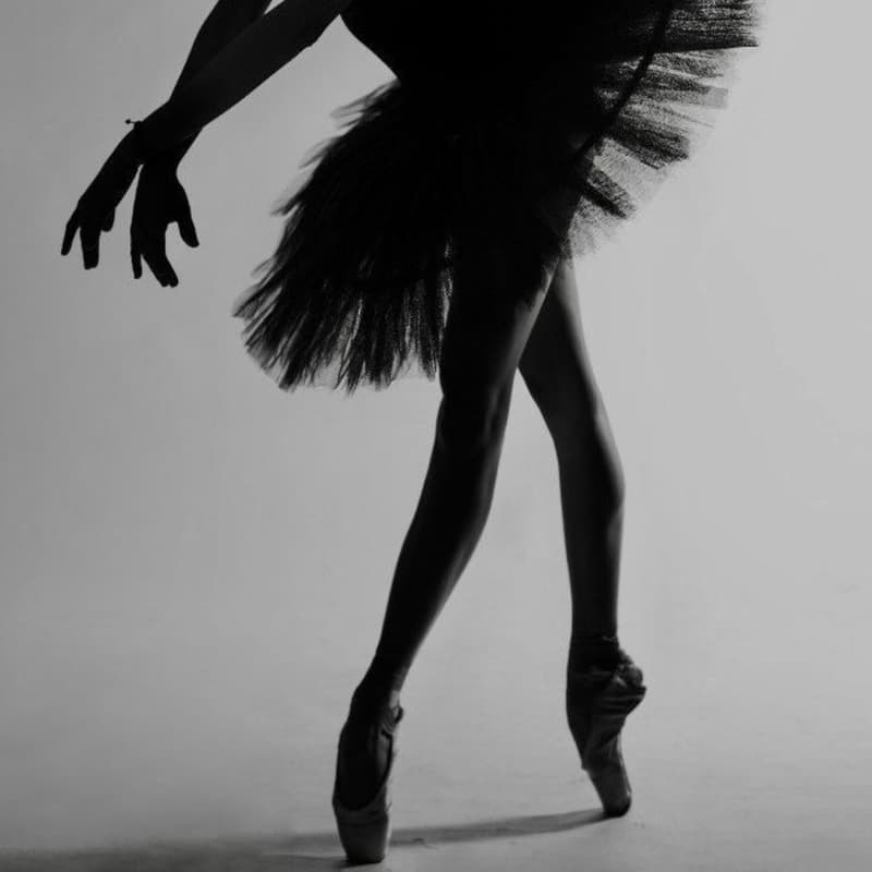 Cover Image for Adult Ballet Workshop- (black swan)