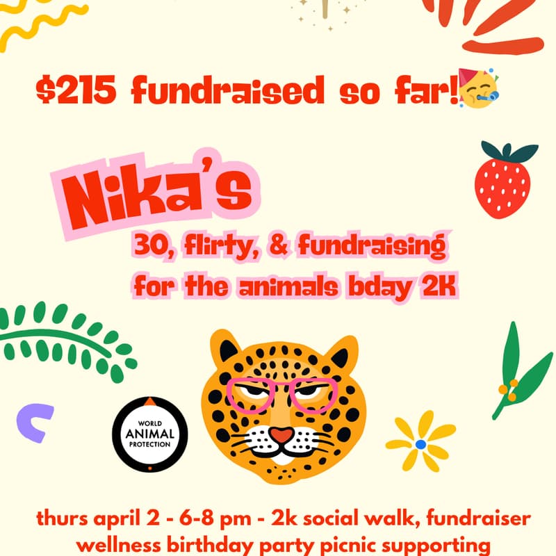 Cover Image for Nika's 30, Flirty, and Fundraising for the Animals Birthday 2K Walk & Picnic