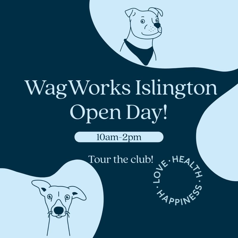 Cover Image for WagWorks Islington Open Day
