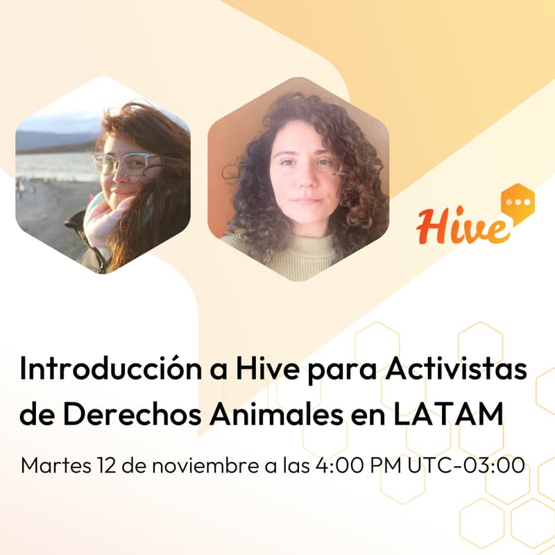 Cover Image for Introducción a Hive para Activistas de Derechos Animales en LATAM