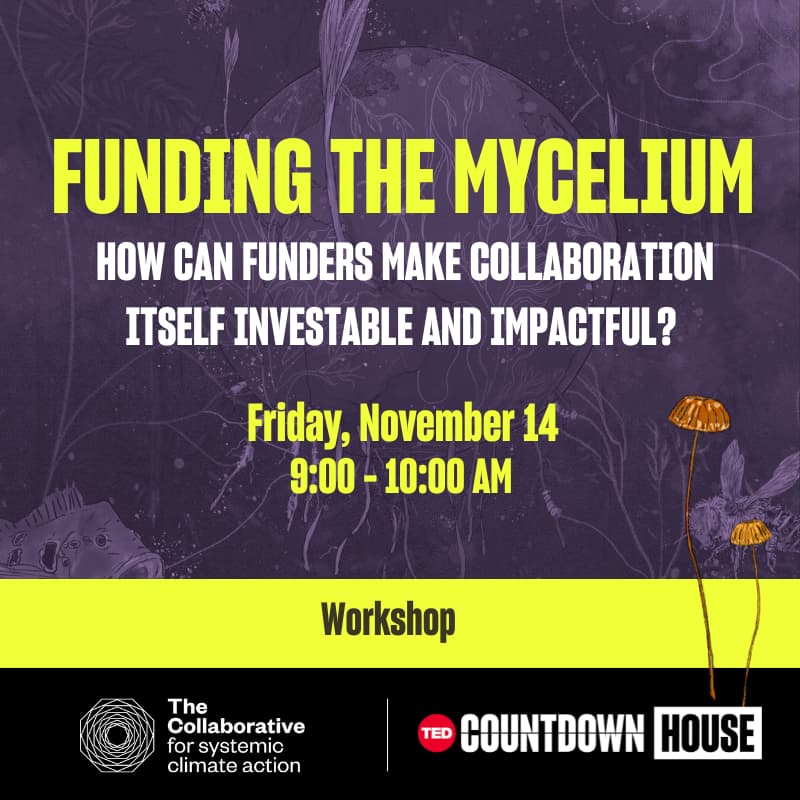 Cover Image for Funding the Mycelium: How can funders make collaboration itself investable and impactful?