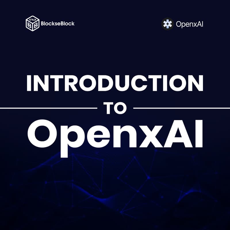 Cover Image for DAY 1 - INTRODUCTION TO OPENXAI