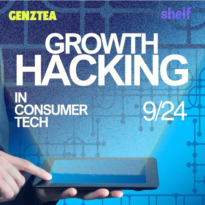Cover Image for Growth Hacking in Consumer Tech