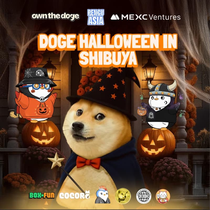 Cover Image for Doge Day Halloween with MEXC Ventures— Trick or Trade?