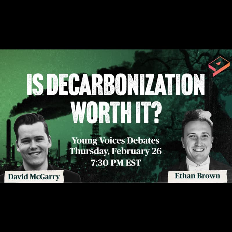 Cover Image for Decarbonization: At What Cost?