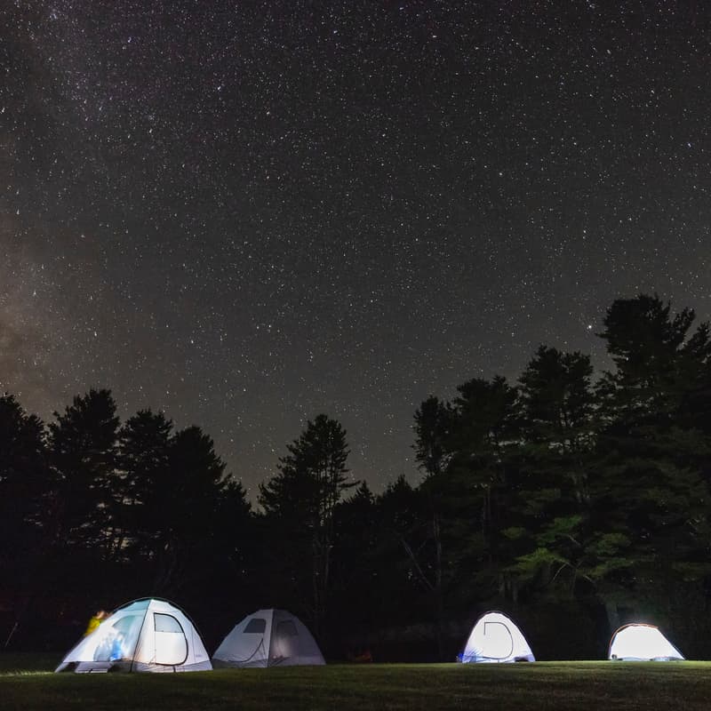 Cover Image for Sleep Under The Stars Summer Kickoff: Adult LGBTQ+ Campout