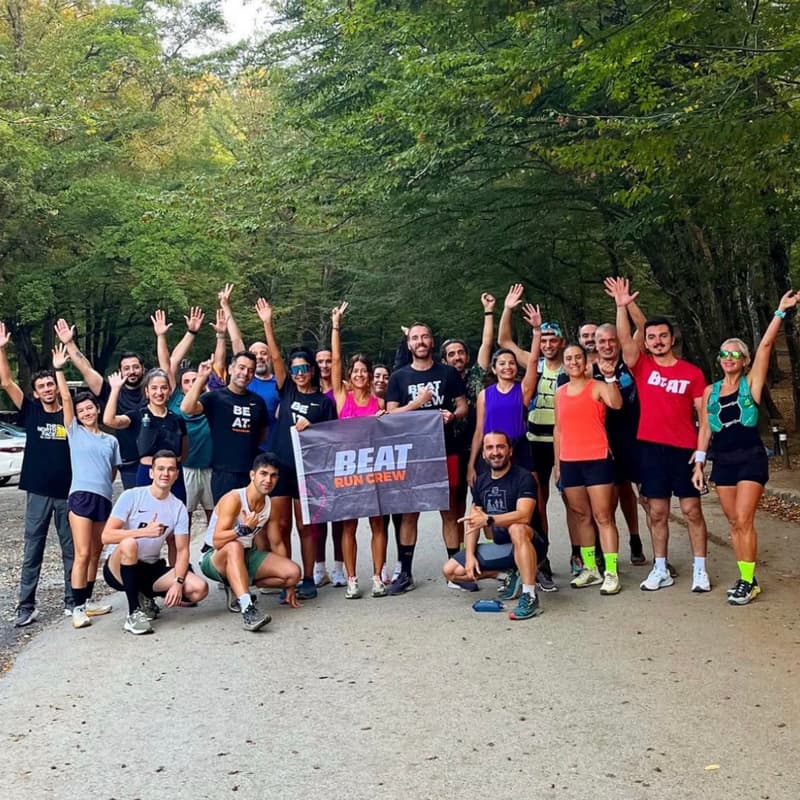 Cover Image for Beat The Forest: Geyik 🦌