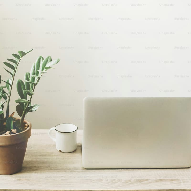 Cover Image for Substack Moms Meetup (Zoom)