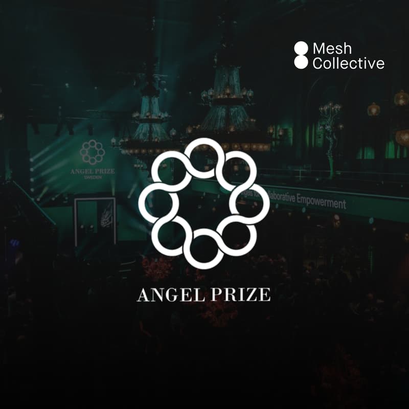 Cover Image for Mesh Collective Angel Prize
