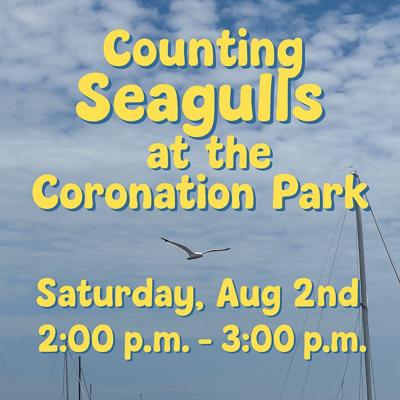 Cover Image for Counting Seagulls at the Coronation Park