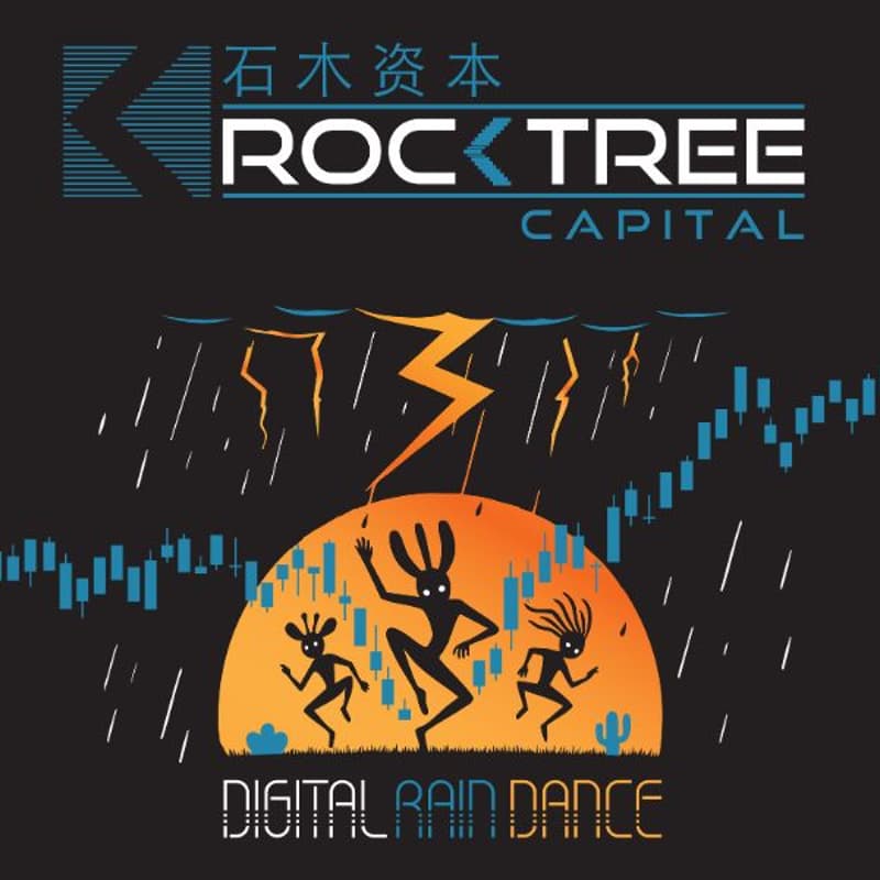 Cover Image for DIGITAL RAIN RAVE: ROCKTREE CAPITAL
