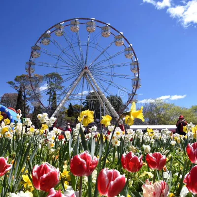 Cover Image for 2026 – Porte du Changement | Équinoxe de Printemps 🌷