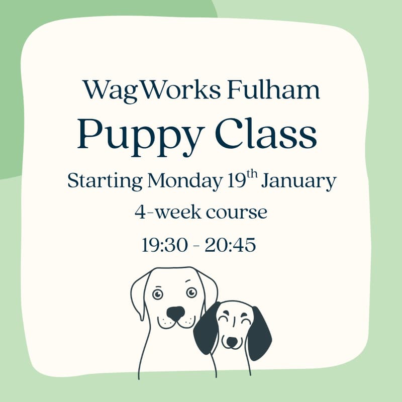 Cover Image for WagWorks Fulham Puppy Class