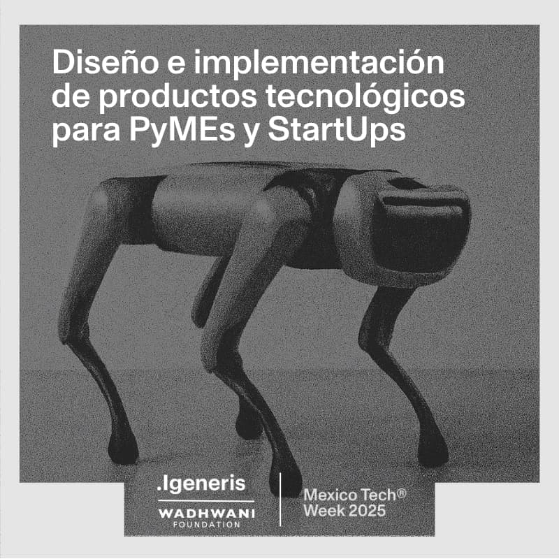 Cover Image for Diseño e Implementación de Productos Tecnológicos para PyMEs y StartUps