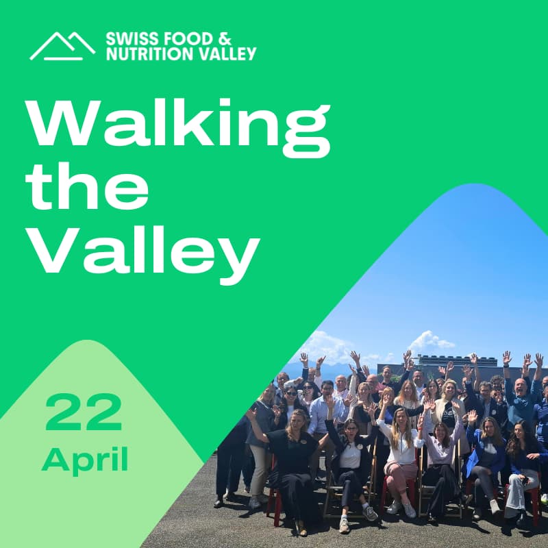 Cover Image for Walking the Valley