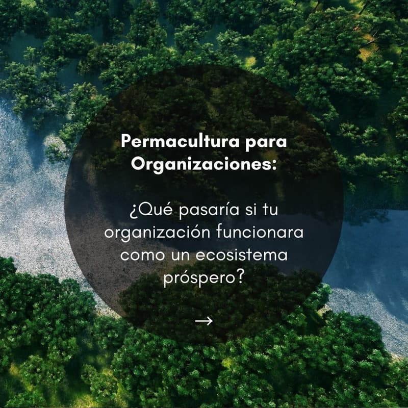 Cover Image for Permacultura para Organizaciones: ¿Qué pasaría si tu organización funcionara como un ecosistema próspero?