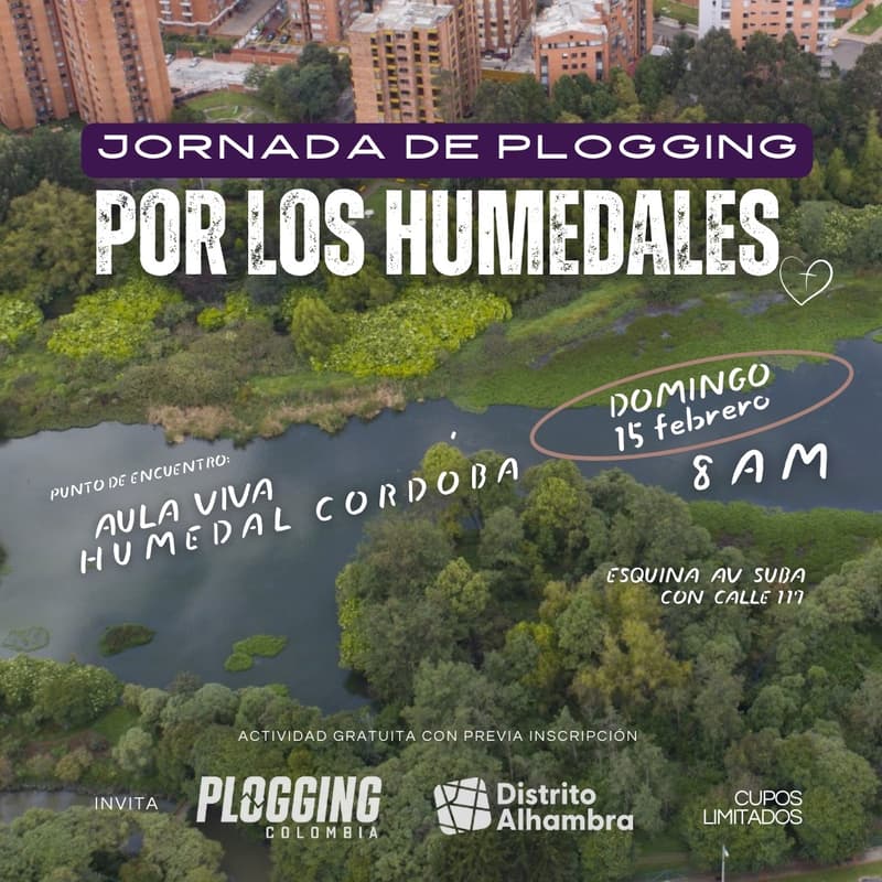 Cover Image for Plogging Distrito Alhambra Febrero