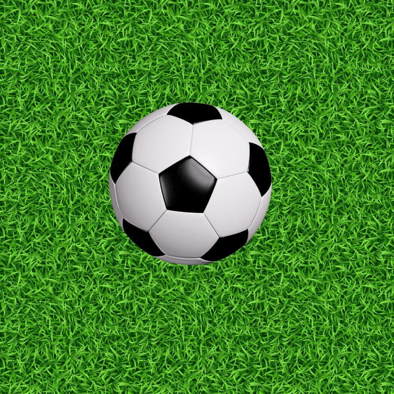 Cover Image for Fiber Cup 2025