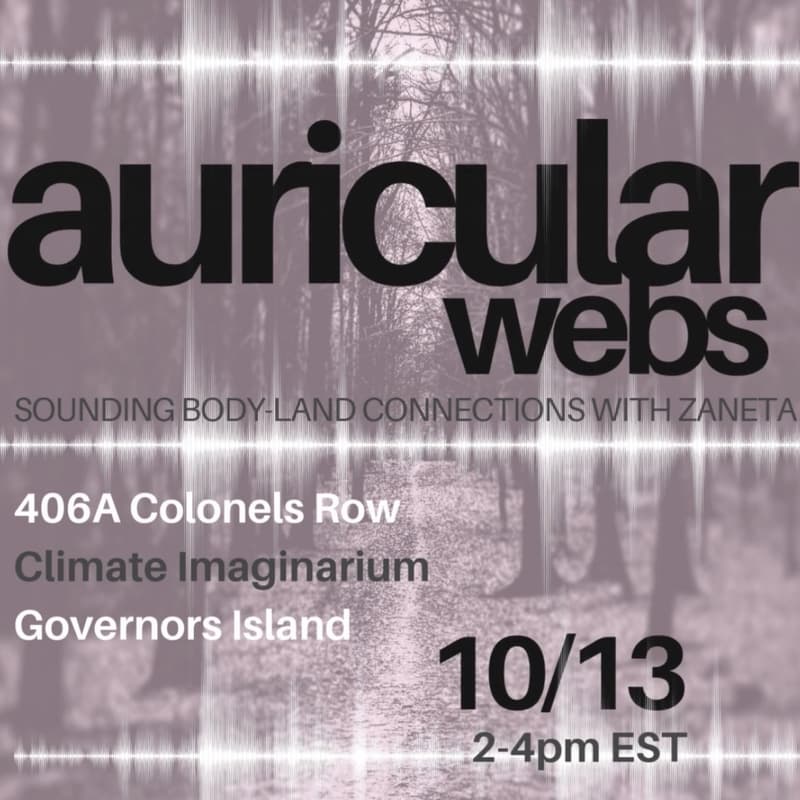 Cover Image for Auricular Webs with Zaneta
