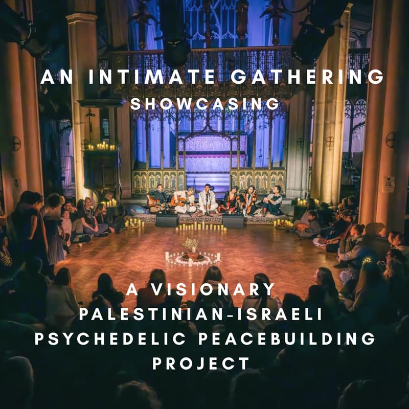 Cover Image for An Intimate Afternoon aboard a Sausalito Houseboat with Dr. Leor Roseman and Joy Sela discussing Psychedelics and Peacebuilding